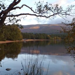 IoT Network in Cairngorms Set to Help Businesses and Visitors Whilst Protecting National Park