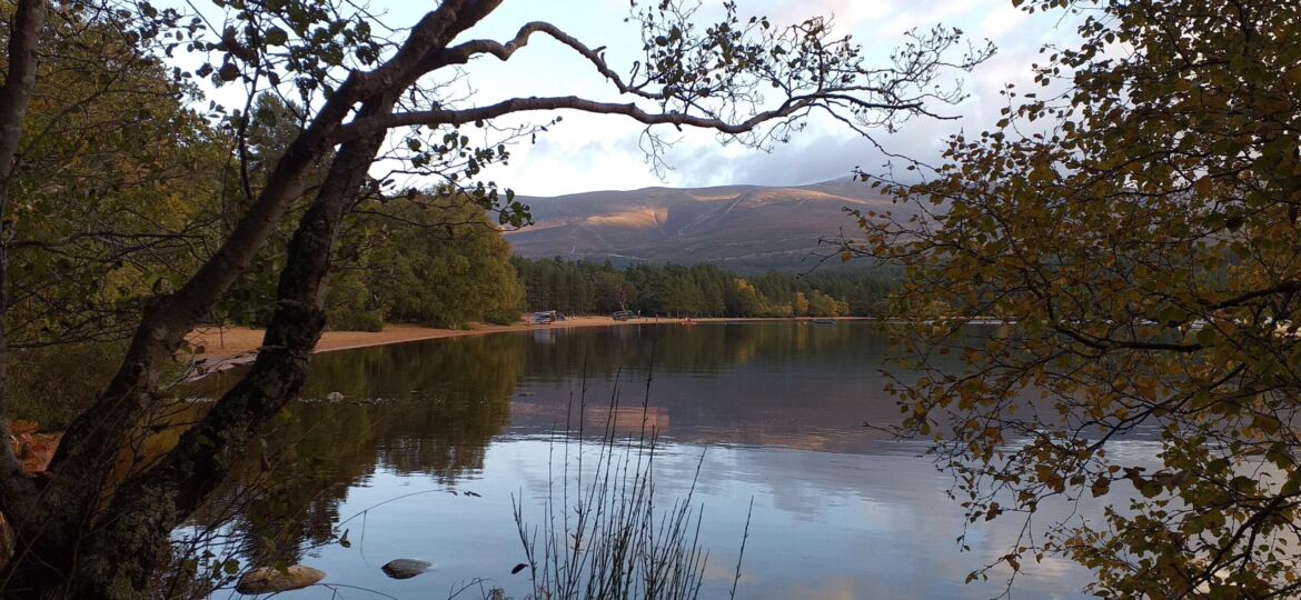 IoT Network in Cairngorms Set to Help Businesses and Visitors Whilst Protecting National Park