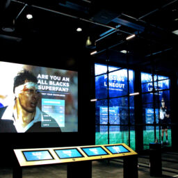 BrightSign Powers Fully Immersive New Zealand Rugby Experience